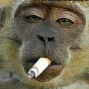 Meet your Posher, Trevor